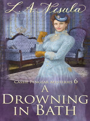 cover image of A Drowning in Bath